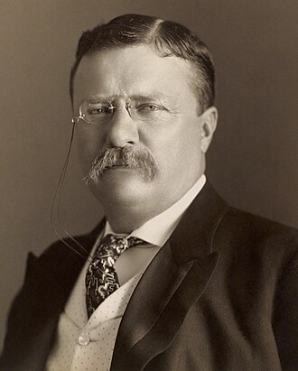 Portrait of Theodore Roosevelt